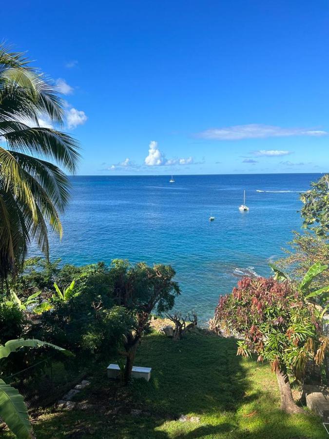 Casa Del Vega A Little Peace Of Heaven Hotel Castries Kültér fotó