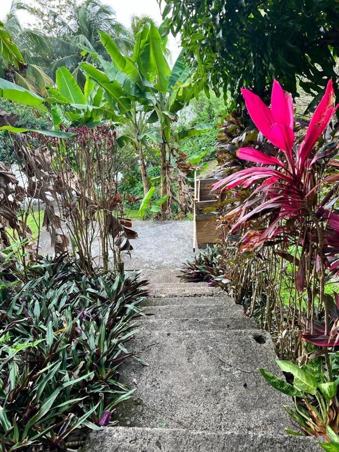 Casa Del Vega A Little Peace Of Heaven Hotel Castries Kültér fotó
