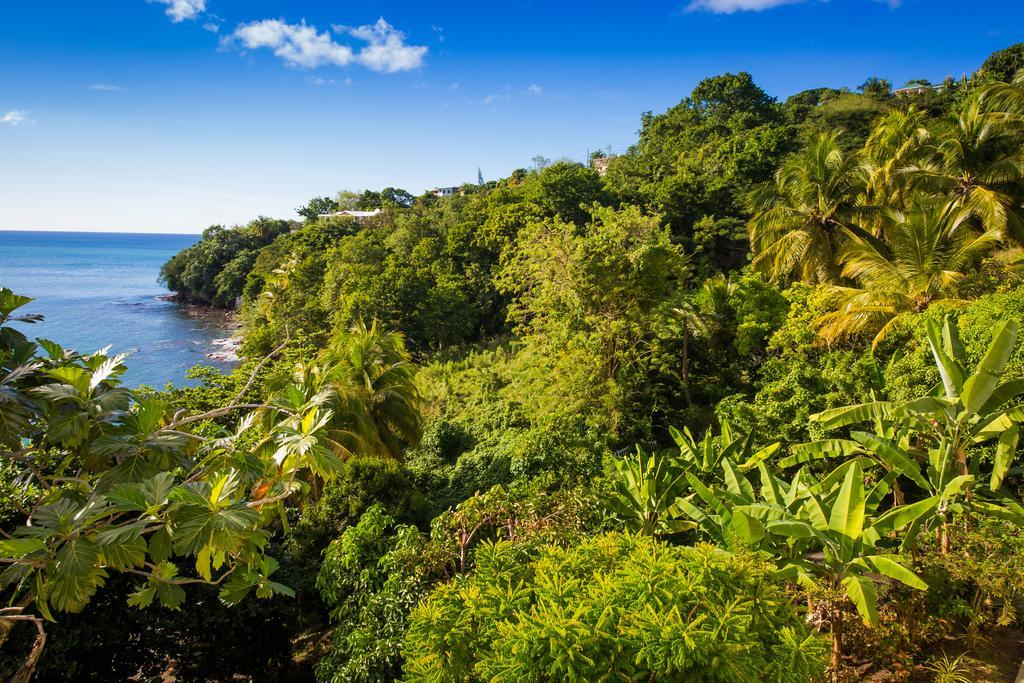 Casa Del Vega A Little Peace Of Heaven Hotel Castries Kültér fotó