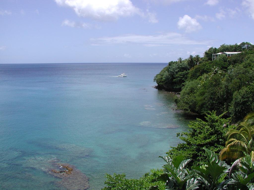 Casa Del Vega A Little Peace Of Heaven Hotel Castries Szoba fotó
