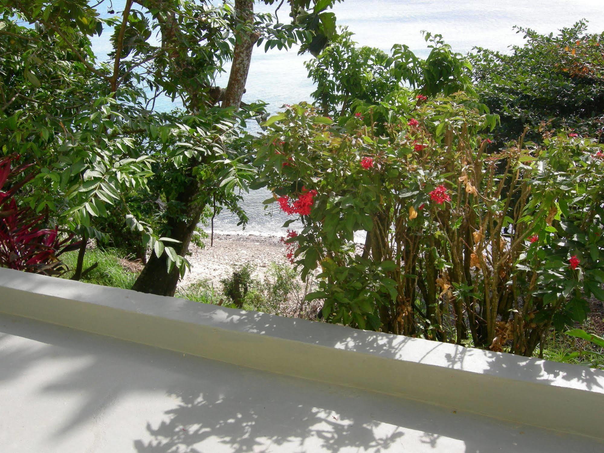 Casa Del Vega A Little Peace Of Heaven Hotel Castries Kültér fotó